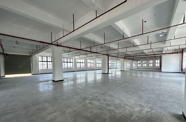 12元全包大朗本地房东独院厂房仓库低价出租，单层1000平