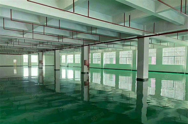 消防喷淋合格 大朗工业园二楼1200平方厂房 只要9元