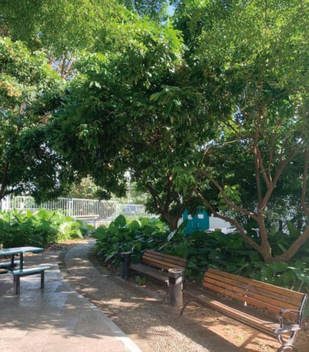 松山湖城区厂房出租，交通便利