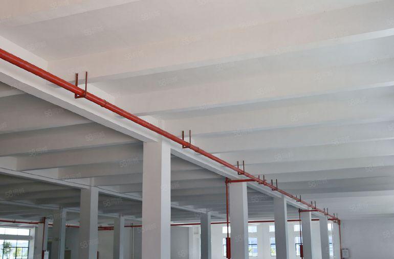 松山湖新出红本2250平重工厂房，可办环评高速出口，超低价