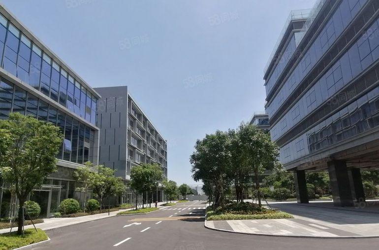 松山湖大量带装修独栋或平层厂房300至3万方出租！