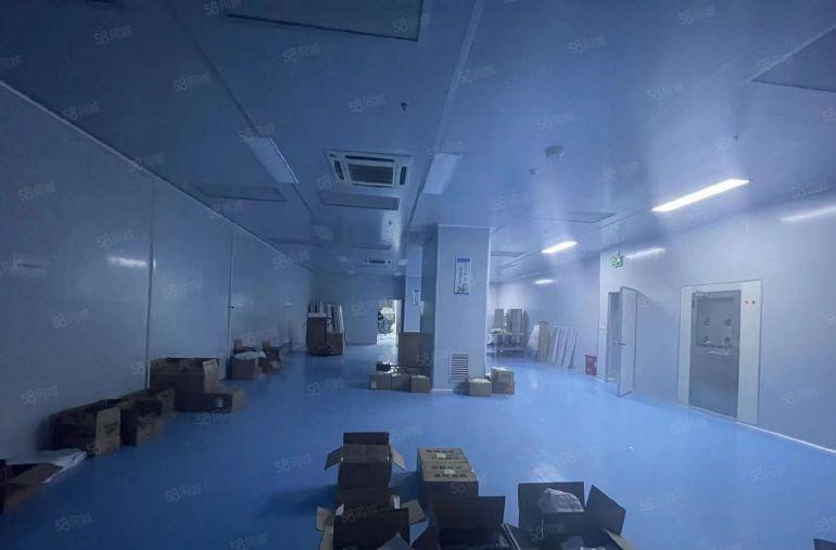 黄江镇新出十万级无尘车间2200平低价厂房出租，可分组