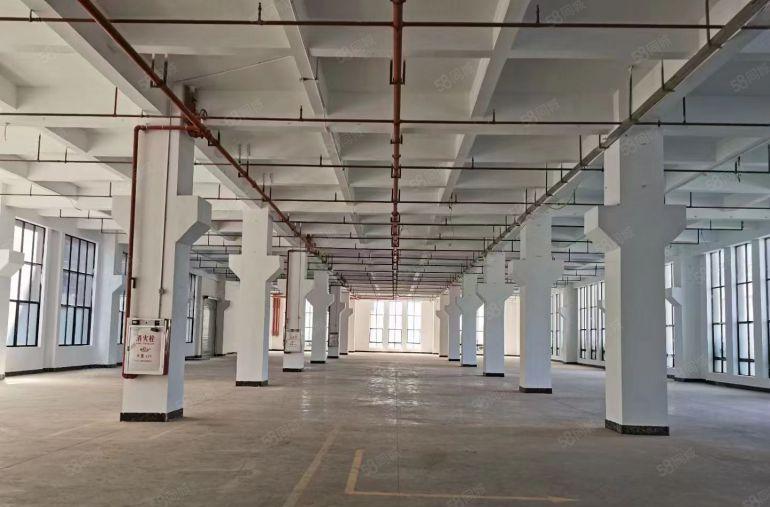 靠深圳黄江原房东红本工业园厂房出租一楼楼上各2000平方可分