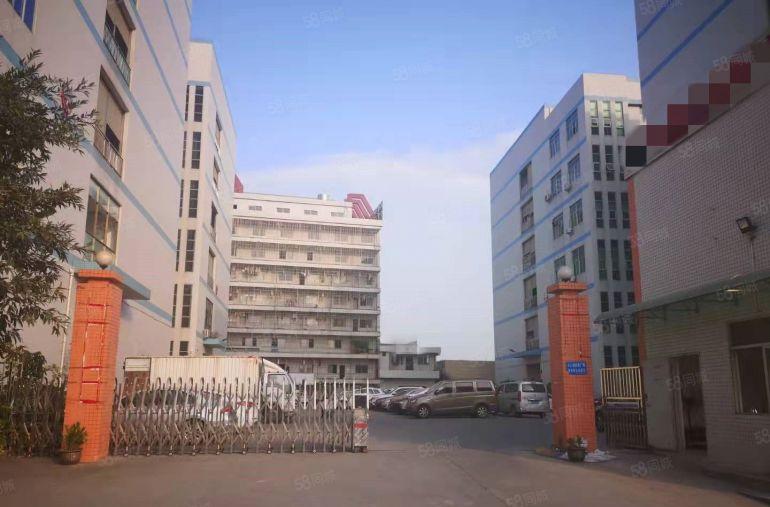 大岭山颜屋园区厂房出租 楼上精装修 现成办公室 超低价