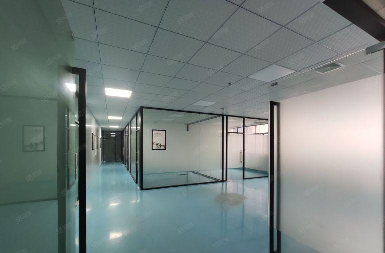 大岭山杨屋新空一手房东楼上1500平精装修工业厂房出租