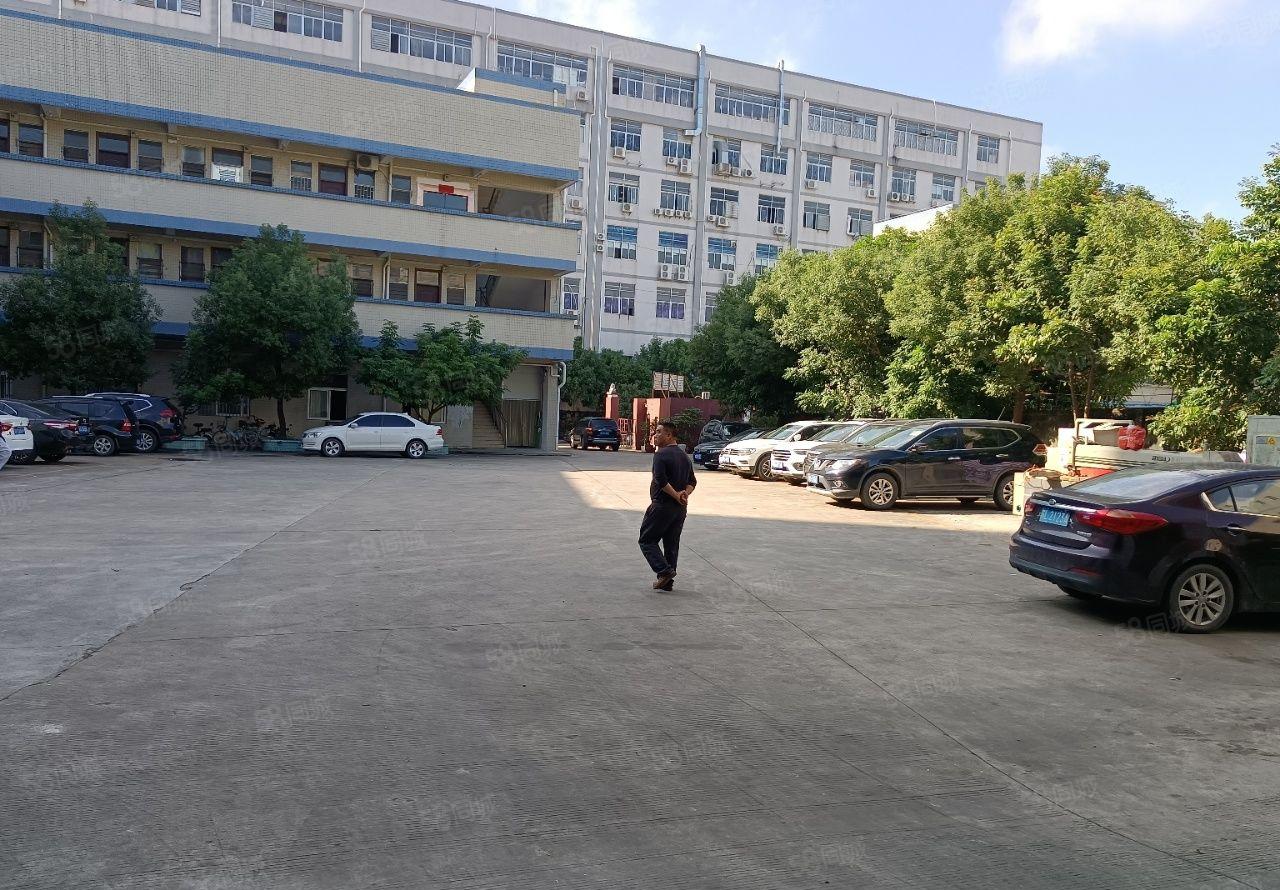 大岭山厂房出租一楼1800平现成装修办公室主线到车间19块钱