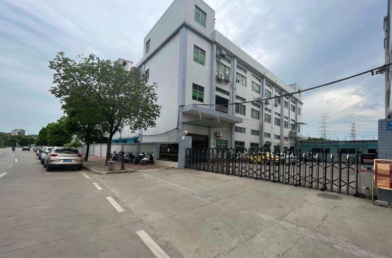 原房东大岭山楼上1500平米精装修厂房出租便宜电子厂房分租