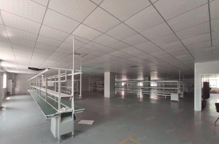 三楼2000平12块精装修 大岭山杨屋低价工业厂房出租