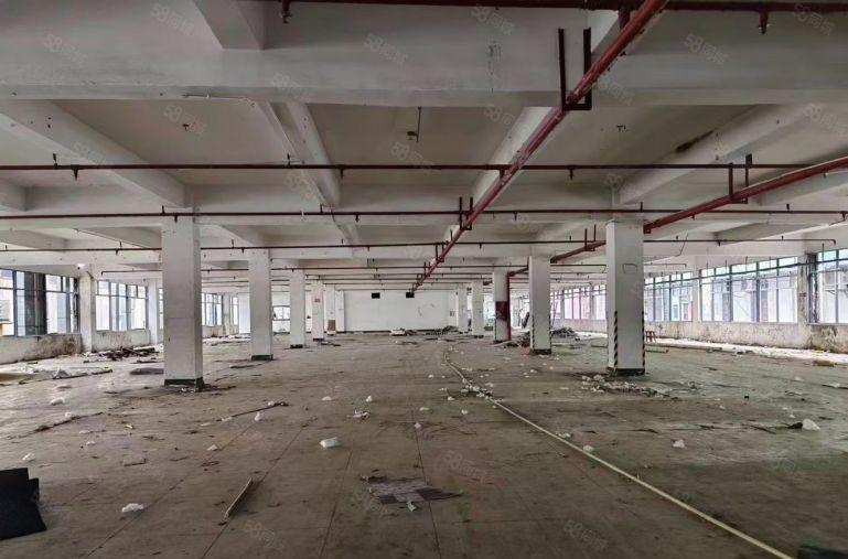 大岭山原房东经典独门独院6000平方厂房出租