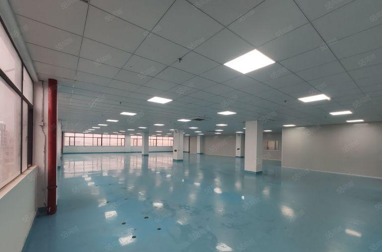 大岭山杨屋新空一手房东楼上1500平精装修工业厂房出租