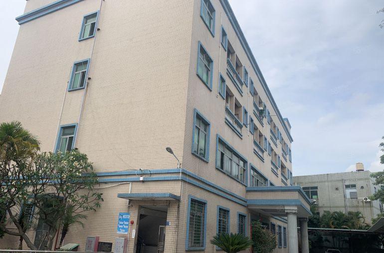 大岭山大塘村高大上工业园滴水8米砖墙到顶钢构2500平