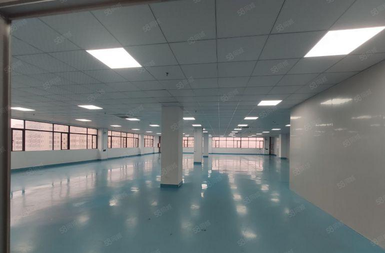 大岭山杨屋新空一手房东楼上1500平精装修工业厂房出租