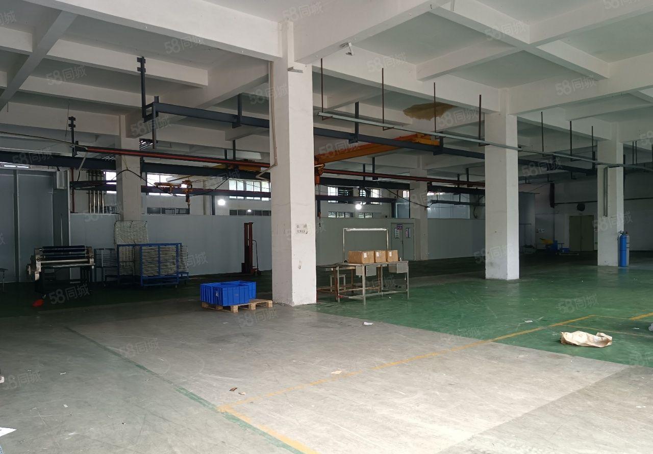 大岭山厂房出租一楼1800平现成装修办公室主线到车间19块钱