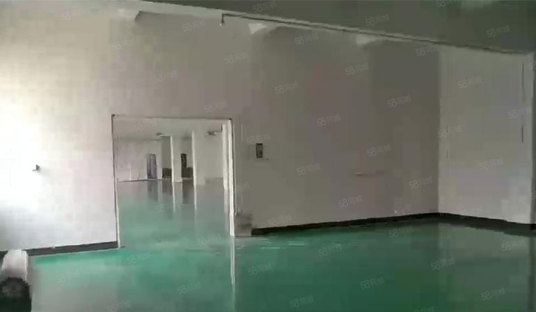 大岭山杨屋高速口附近 现成精装修厂房出租 超低价 可分租