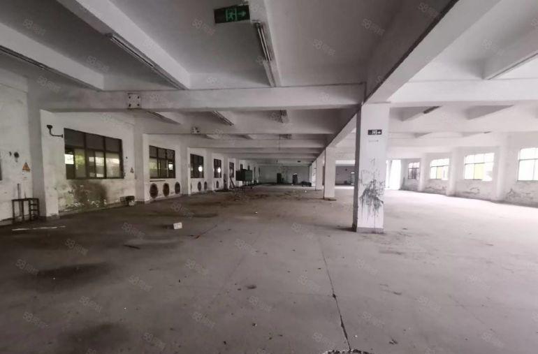 大沙村原房东独门独院低价厂房出租总面积13000平方 可分租