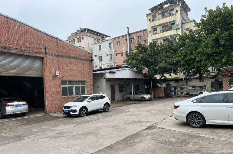 大岭山原房东砖墙到顶单一层1000平方，滴水7米