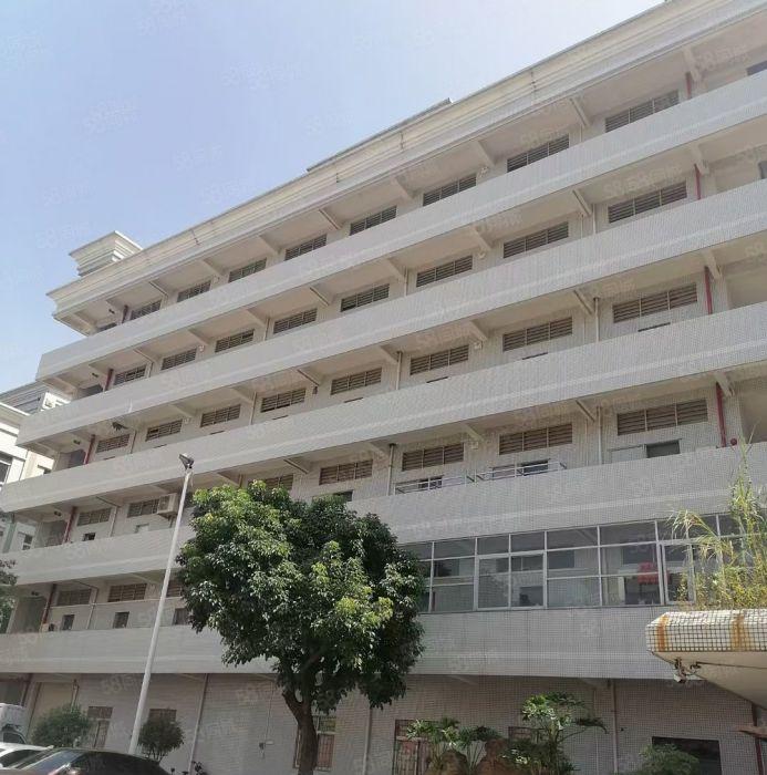 大小可分租 可办环坪杨屋村新出独院标准3层6000平厂房出租