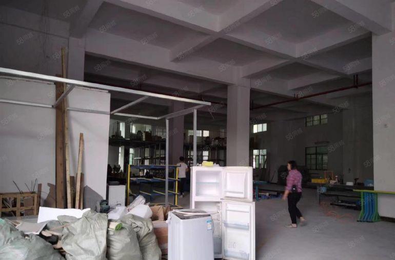 价低 大岭山原房东厂房出租一楼800平设施齐全位置好可分租