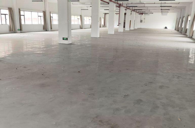 大岭山镇学院风厂房一楼，精装办公室地坪漆，超大空地特价15元