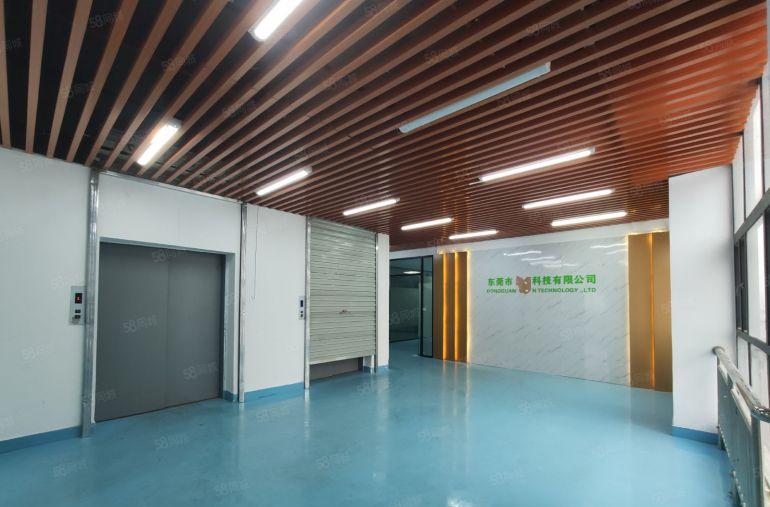 大岭山杨屋新空一手房东楼上1500平精装修工业厂房出租