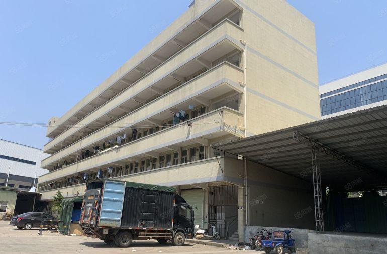 大岭山独院五层厂房1000平起低价出租