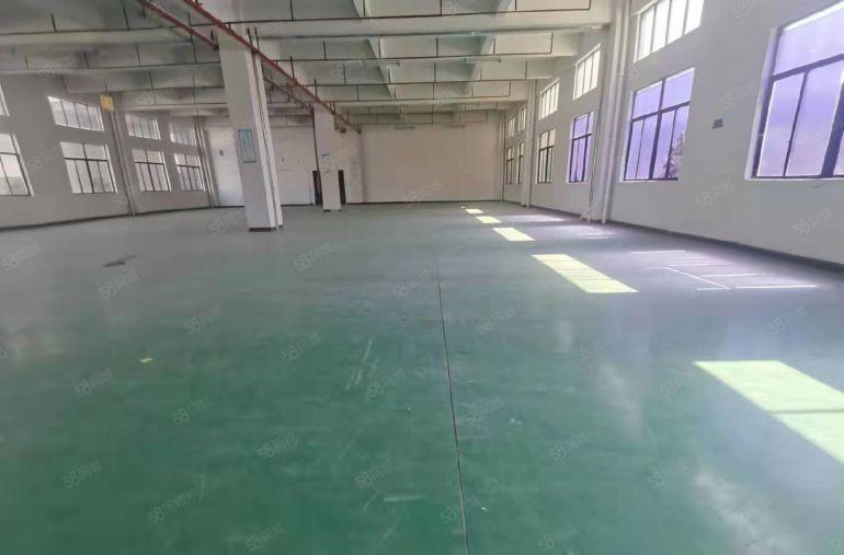 石碣电子厂房房东12000方诚意出租15元起