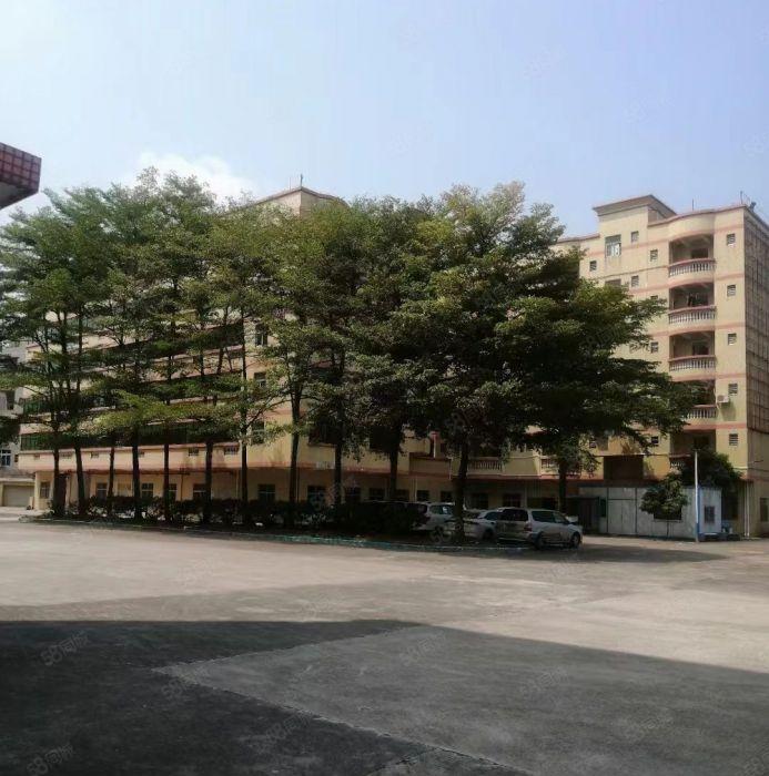 石碣工业园区独院 一楼和四楼出租 租金便宜