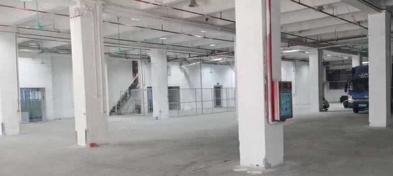 石碣原房东独门独院厂房实际面积3000平低价出租