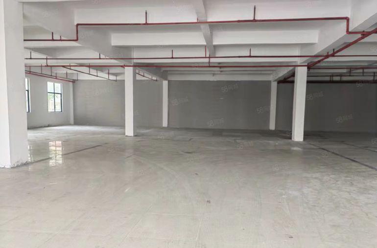 全新厂房，现成装修，石碣招租一楼800方，看中就租，价格超低