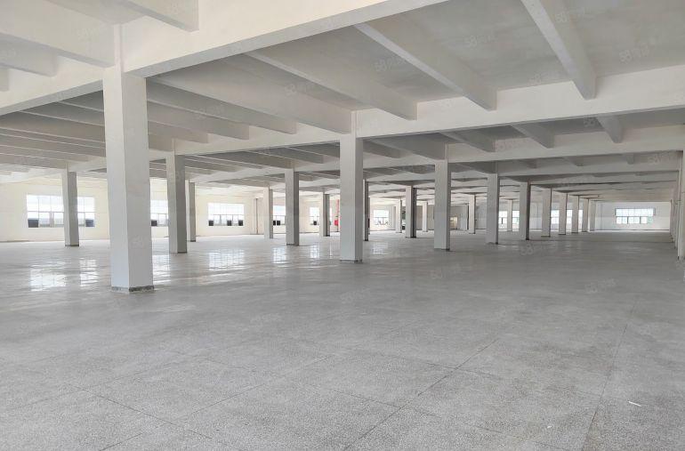 清溪大利新出标准一楼1000平低价厂房出租可分租