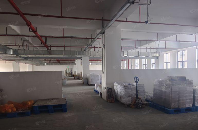 精装修！15元！清溪三中高速路口楼上2000平全新厂房出租