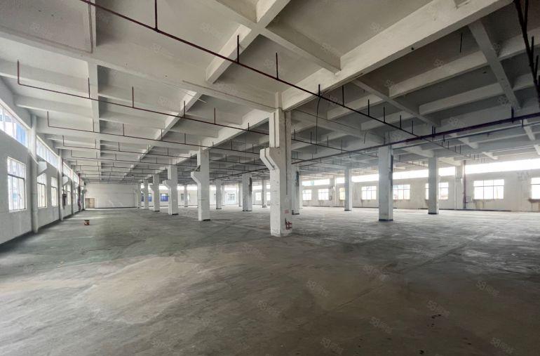 清溪三中原房东独院厂房出租一楼11块每平方，免租期超长