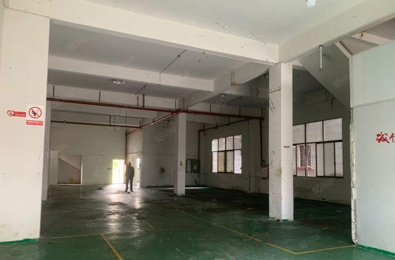 横沥镇原房东标准一楼6米高400平厂房仓库出租，租金15