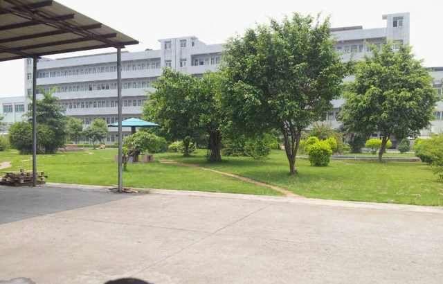 东莞横沥花园式独院厂房可按需分租