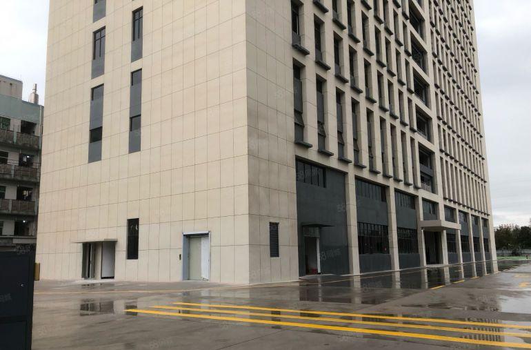 横沥全新原房东标准厂房出租交通便利大小可分租