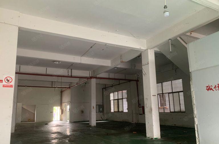 横沥镇原房东标准一楼6米高400平厂房仓库出租，租金15