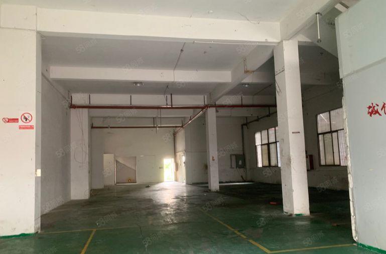 横沥镇原房东标准一楼6米高400平厂房仓库出租，租金15