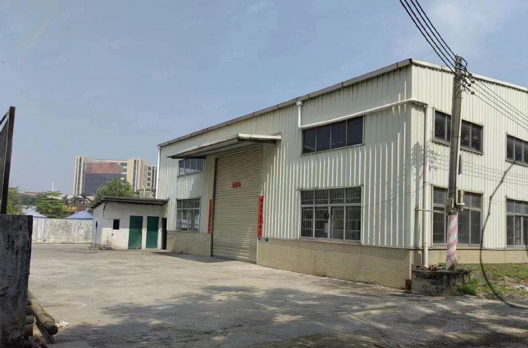 横沥镇新出独门独院钢构厂房500平方