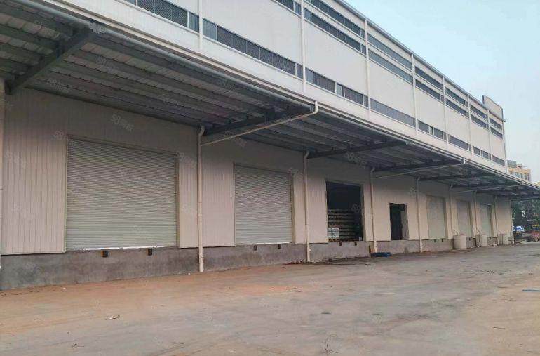 麻涌新沙港京东亚一仓库旁高台仓库出租