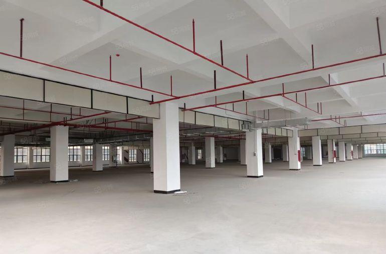 桥头镇 原房东1000平方起分 上市公司形象 带红本工业用地