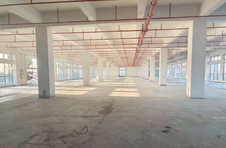 东坑角色原房东一楼2400平七米高红本厂房出租