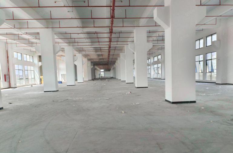 东坑原房东一楼5700平层高7.8米带牛角重工业厂房出租