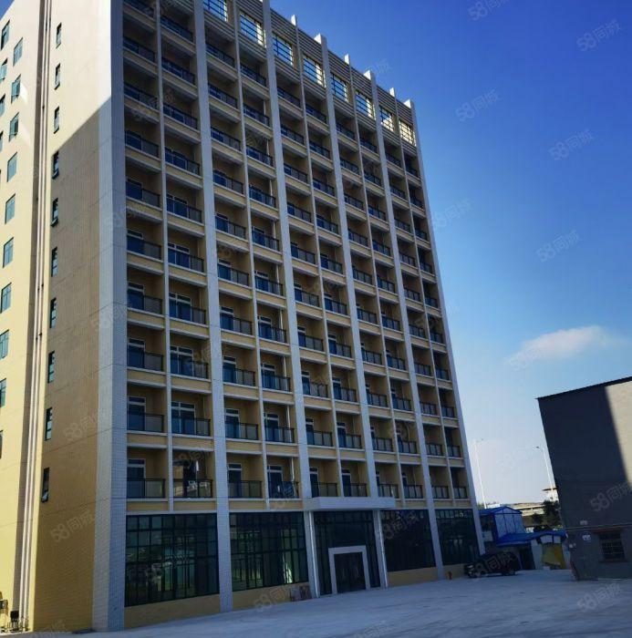 茶山全新厂房出租一楼，800平方米起租水电齐全一共9层厂房