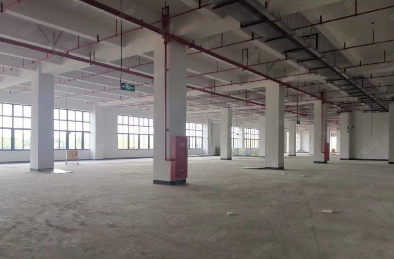 茶山镇厂房出租，茶山工业园出租一楼4000平方，7.5米高