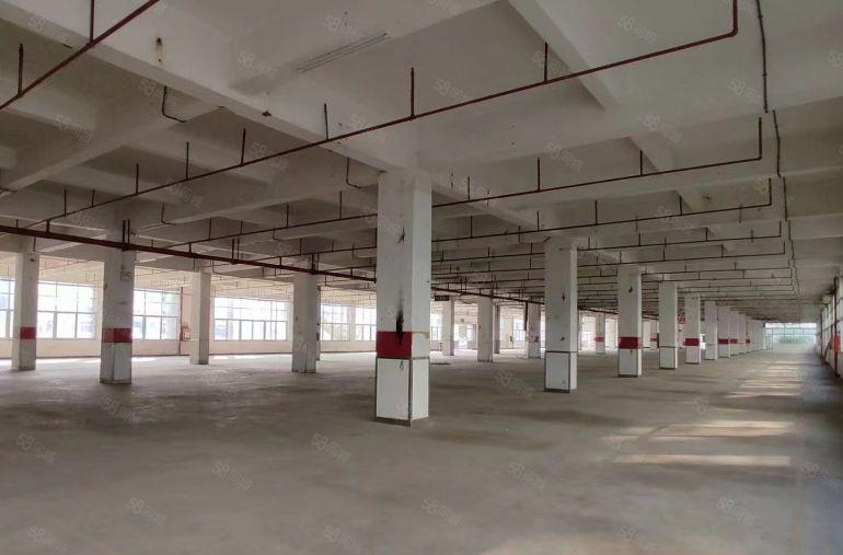 茶山全新厂房出租一楼，800平方米起租水电齐全一共9层厂房