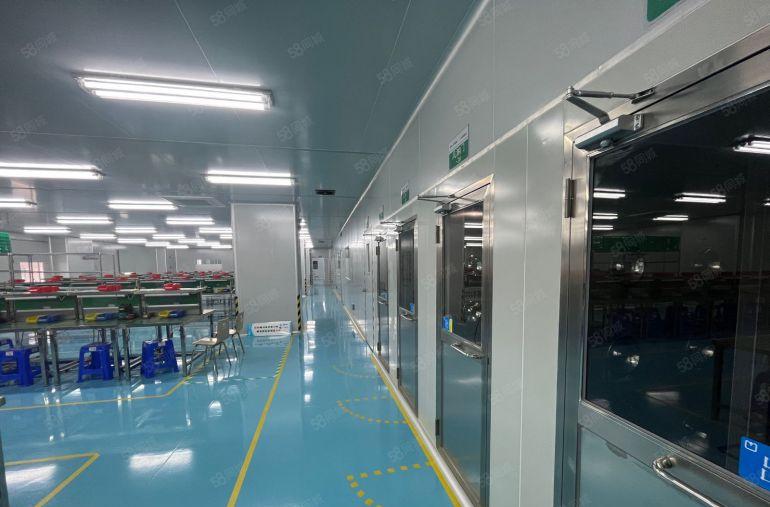 茶山镇厂房出租小面积精装修无尘车间出租，拎包生产，价格便宜