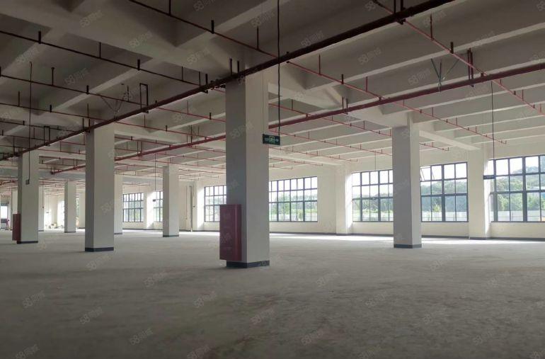 茶山镇厂房出租，茶山工业园出租一楼4000平方，7.5米高