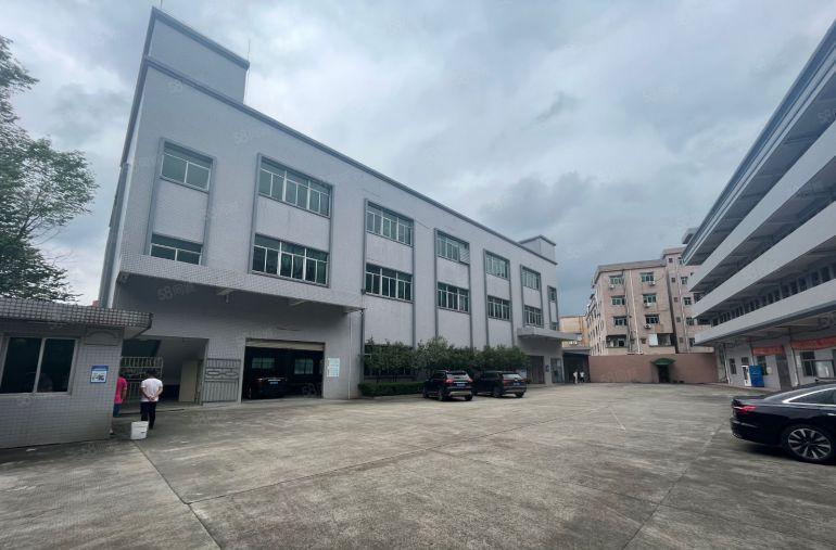 茶山镇独门独院厂房出租原房东低价出租空地超大工业用地交通便利