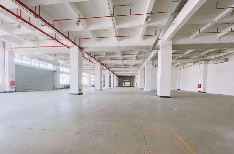 茶山原房东实际面积5万平方上市红本厂房出租