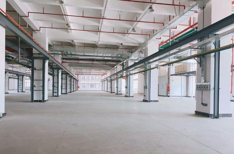 茶山原房东实际面积5万平方上市红本厂房出租